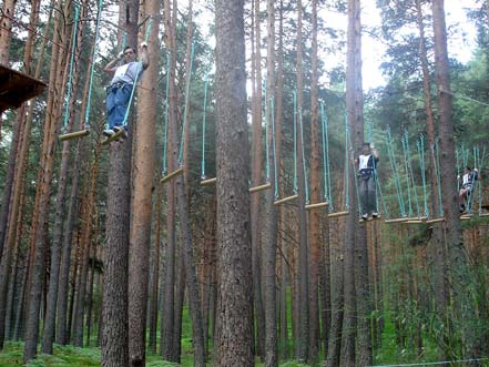 balancines De Pino a Pino.jpg
